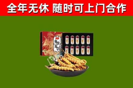 芦山回收冬虫夏草价格