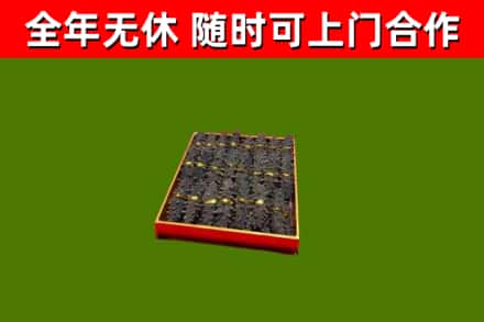 芦山回收海参